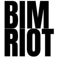 BIM RIOT logo - Similar company to Bim Development Ltd