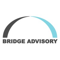 Bridge Advisory logo - Similar company to Bridge Advisory