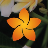 Plumerya Óleos Essenciais logo - Similar company to Viver De Aromas