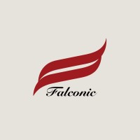 Falconic Marketing Agency logo - Similar company to Twb Global