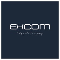 EXCOM logo - Similar company to Excom Conseil