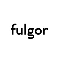 Fulgor logo - Similar company to Fundación Fulgor