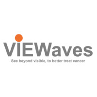 VIEWaves logo - Similar company to Arapl Grand Centre