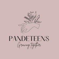 Pandeteens logo - Similar company to Repyar