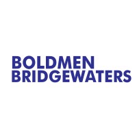 Boldmen Bridgewaters Advisory logo - Similar company to Flutterwave Technology Solutions