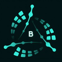 Binary Bastions logo - Similar company to Sploitsec