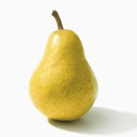 Poire Jaune logo - Similar company to La Côte D'Argent