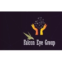 Falcon eye group logo - Similar company to Falcon Eye Security