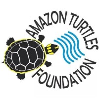 AMAZON TURTLES FOUNDATION logo - Similar company to Amazon Protection Foundation