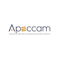 Apeccam Officiel logo - Similar company to Adsnet Group