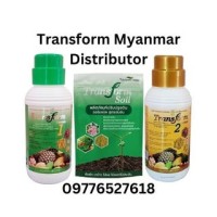 Transform Myanmar Distributor logo - Similar company to Marlarmyaing Group