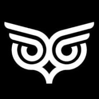 DataSultant logo - Similar company to Tesus
