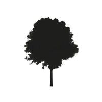 Euroforest s.r.l. logo - Similar company to Green Freight, S.L.