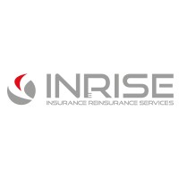 INRISE logo - Similar company to Dataworx Consulting