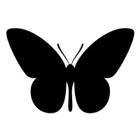 Butterfly Design Ltd. logo - Similar company to Sxsw Interactive