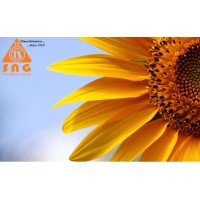 SNG India logo - Similar company to Sng Technologies Ltd.