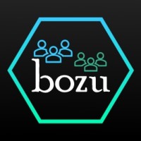 Bozu logo - Similar company to Wisedv