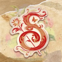 Singularités logo - Similar company to Jfx.Studio