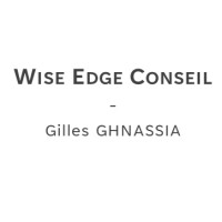 Wise Edge Conseil logo - Similar company to Corefci