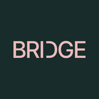 Bridge Consulting A/S logo - Similar company to Lead - Enter Next Level