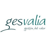 GESVALIA CONSULTORES SL logo - Similar company to Gestalia Ebs