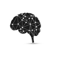 Chiropractic Neurology Center Dubai