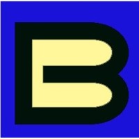 Brauner Safety Services logo - Similar company to Point Driven Studio