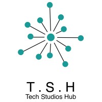 Tech Studios Hub logo - Similar company to Consultyfy