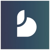 Blueforte logo - Similar company to Inkubit - Microsoft Ai & Business Applications Partner