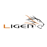 Liger Trading NZ logo - Similar company to Virgil Capital