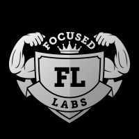 Focused Labs logo - Similar company to Mat Mora Consulting