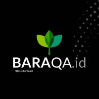Baraqa logo - Similar company to Mediasource Fzc