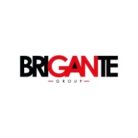BRIGANTE GROUP SAS logo - Similar company to Game Changers