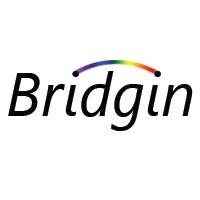 Bridgin
