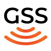 Geosubsight logo - Similar company to D2C Engineering