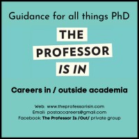 The Professor Is In logo - Similar company to More Or Less