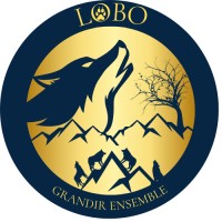 LOBO logo - Similar company to Partenasport