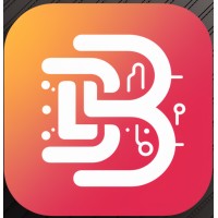 BRX International Private Limited logo - Similar company to Knight International