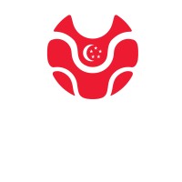 Alliance Of Chiropractic (Singapore) logo - Similar company to Nst Health