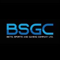 BSGC Limited logo - Similar company to Numeto