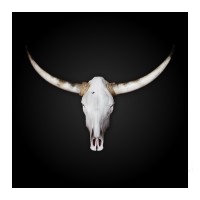 Vier für Texas logo - Similar company to Nyu Stern School Of Business