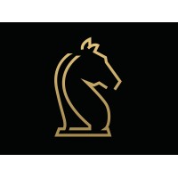 NanoStrategy logo - Similar company to Perfectia