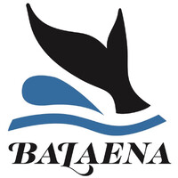 Balaena, Inc. logo - Similar company to Balaena
