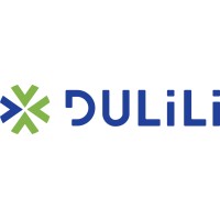 Dulili Solutions logo - Similar company to Invise