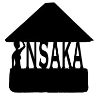 Insaka logo - Similar company to Driven To Succeed, Llc