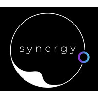 Synergy Hub logo - Similar company to K2 Stone