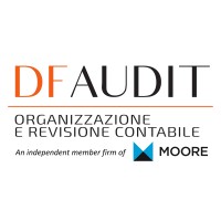 DF Audit S.p.A. logo - Similar company to Shapegrabber Incorporated