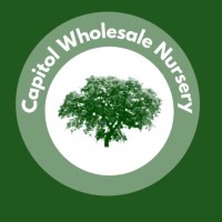 Capitol Wholesale Nursery, Inc. logo - Similar company to North Haven Gardens