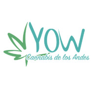 YOW Cannabis de los Andes logo - Similar company to Asocañamo