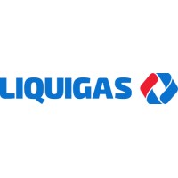Liquigas Liban sal logo - Similar company to Ipt Group